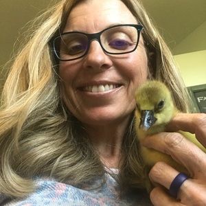 Meet your Posher, Lori